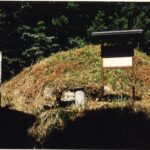 高野光泉寺古墳　画像